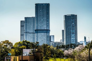 bahar şehir manzarası. Çekim Konumu: Koto Ward, Tokyo