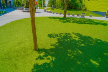 Ağaç gölgesi ve çimen. Çekim yeri: Kanazawa Koğuşu, Yokohama Şehri