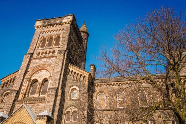 Toronto Üniversitesi 'nin tarihi kuleleri. Çekim Konumu: Toronto