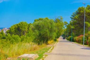 Yeşil yol (Katalonya, İspanya). Çekim Konumu: İspanya, Barselona