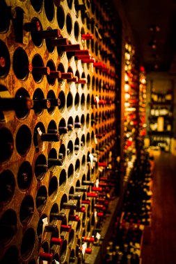 Şarap mahzeni görüntüsü. Çekim Konumu: Toronto