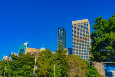 Sydney gökdelenleri ve doğa. Çekim yeri: Sydney, Avustralya