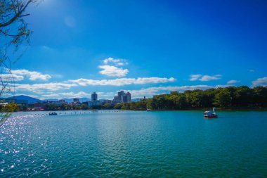 Ohori Park 'taki kuğu teknesi. Atış Konumu: Fukuoka Bölgesi