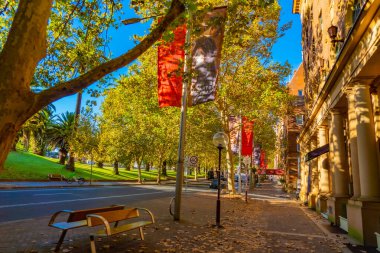 Yaprakların ve sokak lambalarının arasından süzülen güneş ışınları. Çekim yeri: Sydney, Avustralya