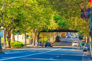 Mavi gökyüzü ve ağaçlarla kaplı cadde. Çekim yeri: Sydney, Avustralya