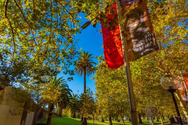Mavi gökyüzü yeşil alanı. Çekim yeri: Sydney, Avustralya