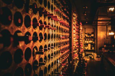 Şarap şişesi sergisi. Çekim Konumu: Toronto