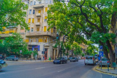 Ağaçlarla kaplı cadde ve binalar. Çekim yeri: Macaristan, Budapeşte