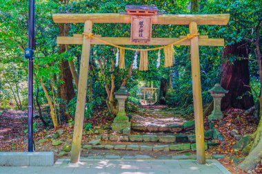 Torii kapısı ve yeşillikte yaklaşım. Atış yeri: Niigata Bölgesi