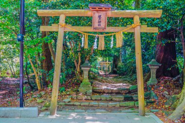 Torii gate and approach in the greenery. Shooting Location: Niigata Prefecture clipart