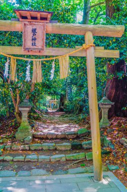 Torii of a majestic shrine. Shooting Location: Niigata Prefecture clipart