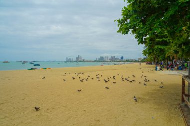 Pattaya denizi ve tekneleri. Çekim yeri: Tayland, Pattaya