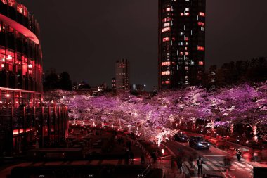 Illumination of the glass building and cherry blossom trees. Shooting Location: Minato Ward, Tokyo clipart