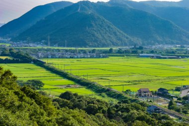 Yeşilliklerle çevrili bir köy. Atış yeri: Akita Bölgesi