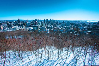 Montreal şehir manzarası (Kanada). Çekim yeri: Montreal, Kanada