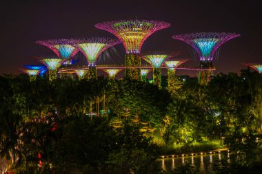 Körfez manzaralı bahçeler. Çekim Konumu: Singapur