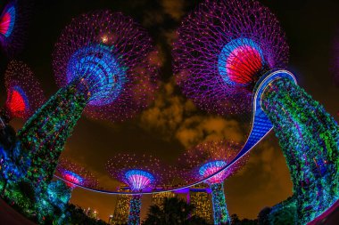 Süper Ağaç 'ta harika bir gece. Çekim Konumu: Singapur
