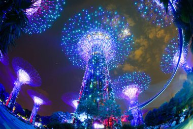 Renkli süper ağaç. Çekim Konumu: Singapur