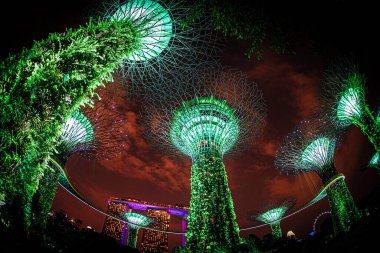 Kırmızı gökyüzü ve süper ağaç. Çekim Konumu: Singapur