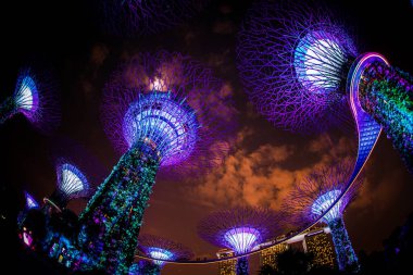 Geceleri süper ağaç ve gökyüzü. Çekim Konumu: Singapur