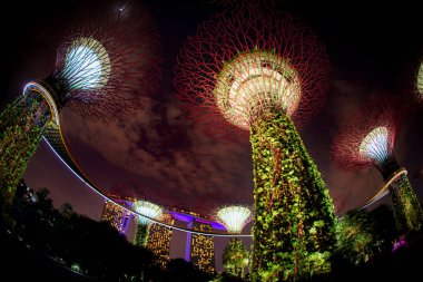 Körfez kenarındaki Gardens 'ın gece manzarası. Çekim Konumu: Singapur