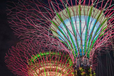 Süper ağacın yakınında. Çekim Konumu: Singapur