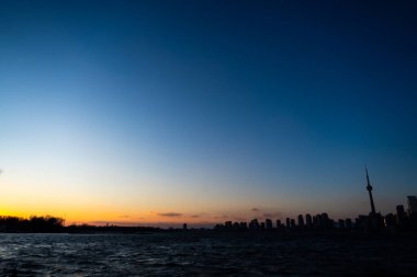 Toronto ağaçların arasında. Çekim Konumu: Toronto