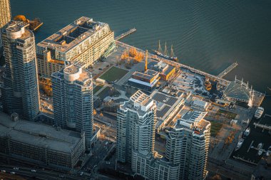 Toronto 'da sonbahar yeşilliği adası. Çekim Konumu: Toronto