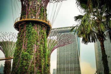 Supertree ve Marina Körfezi Kumları