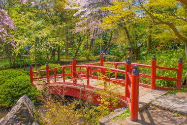 Kiraz çiçekleri açan kırmızı köprü.