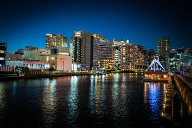 Tennozu Adası 'nın gece görüşü