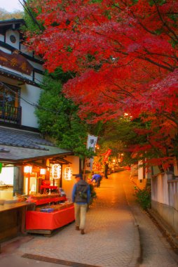 Jindaiji Tapınağı sonbaharda yaklaşıyor.