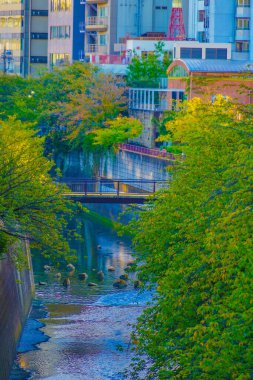 Meguro Koğuşundaki nehir boyunca binalar