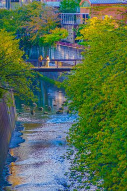Meguro Bölgesi 'nde köprüler ve nehir manzarası