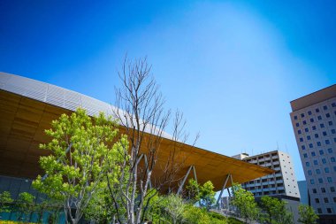 Ağaçlar ve mimari arasındaki uyum