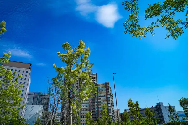 şehir yeşilliği ve gökyüzü