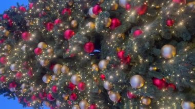 Kırmızı ve altın yaldızlı Noel ağacı, ağaç dalları, Lüksemburg 'da geceleri küçük LED ışıkları. Dikey video yukarı doğru eğiliyor