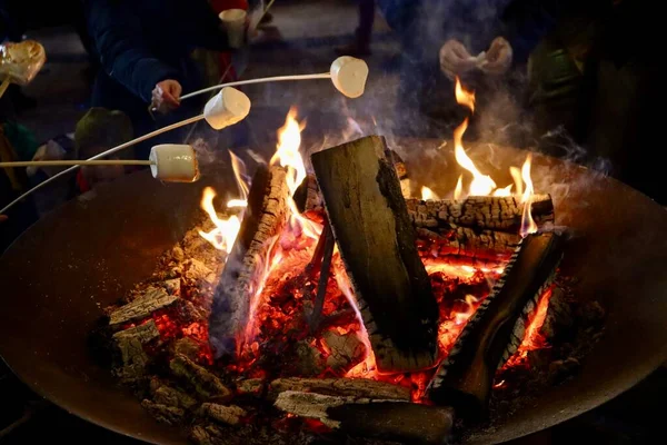 Marshmallows on sticks roasting over log fire. Selective focus