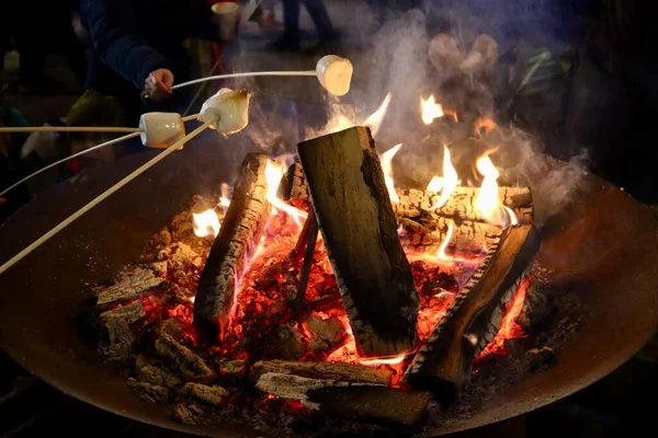丸太の火の上で焙煎された棒の上のマシュマロ 選択的焦点 ロイヤリティフリーのストック写真
