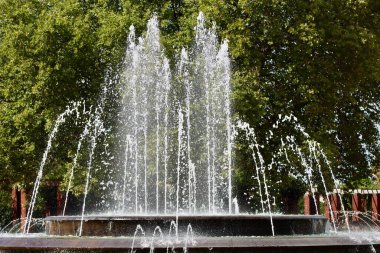 Water fountain in Dusseldorf Nordpark, Germany, Europe