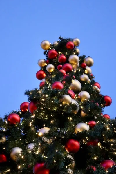 Árvore Natal Baixo Céu Mais Leve Ruínas Vermelhas Douradas Galhos — Fotografia de Stock