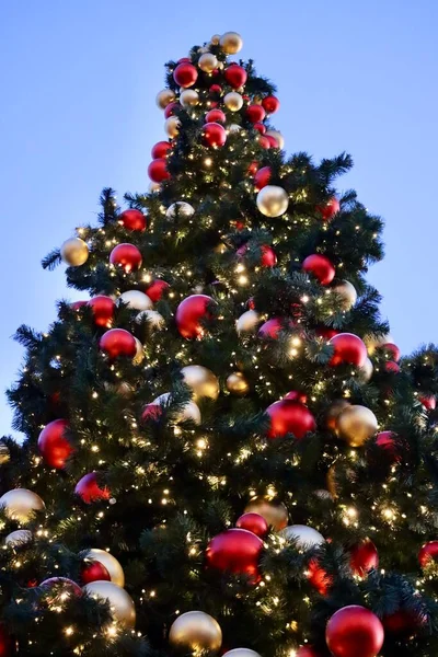 Weihnachtsbaum Von Unten Helleren Himmel Rote Und Goldene Kugeln Äste — Stockfoto