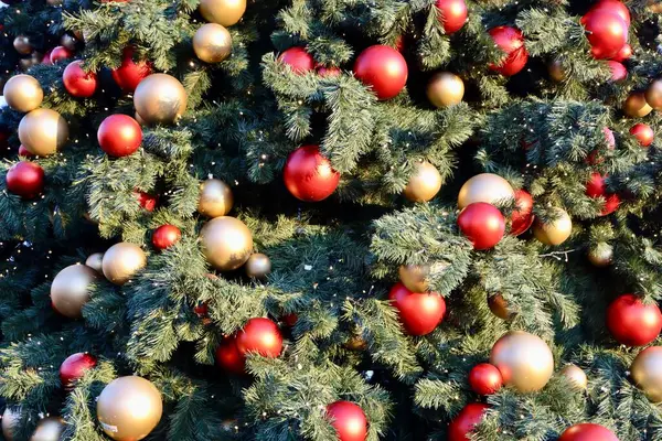 Weihnachtsbaum Themenhintergrund Mit Roten Und Goldenen Kugeln Äste Kleine Led — Stockfoto