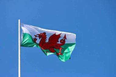 Wales flag - red dragon passant on white and green - bold and proud floating in the wind against blue sky