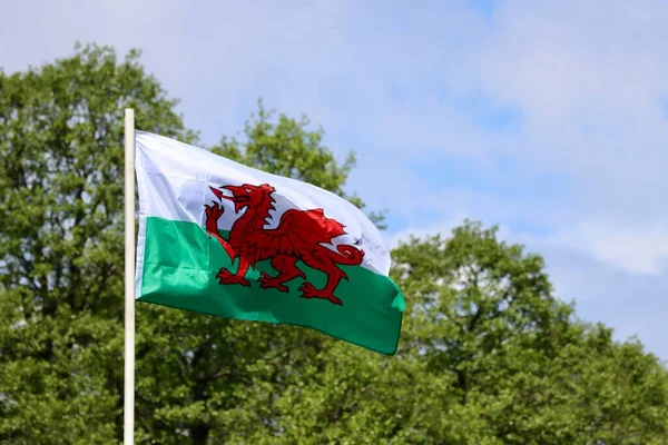 Wales Flag Red Dragon Passant White Green Bold Proud Floating — Φωτογραφία Αρχείου