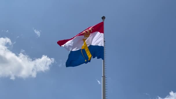 Luksemburska Flaga Monogramem Koroną Wzniesiona Okazji Dnia Narodowego Oficjalnych Urodzin — Wideo stockowe