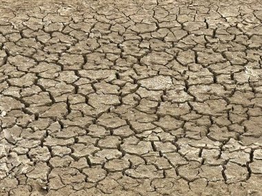 Çatlak zemini arka plan dokusu kadar yakın kuru gölet yatağı.