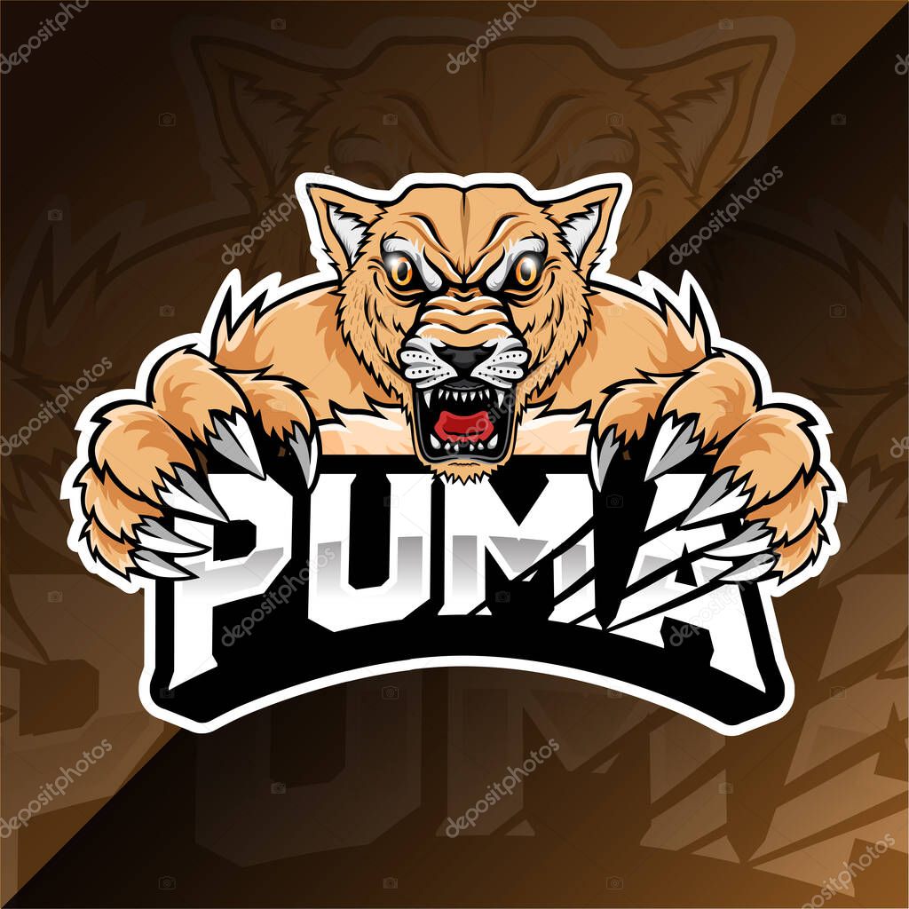 Angry wild animal puma esport logo illustration