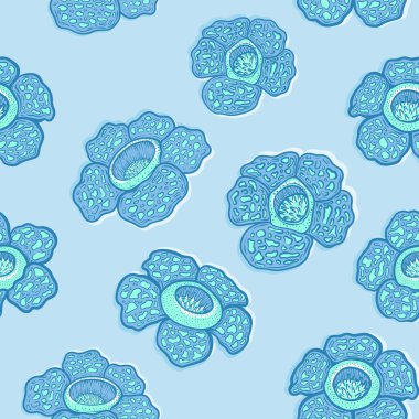 Rafflesia Tropikal Mavi Çiçek Görüntü Arkaplanı