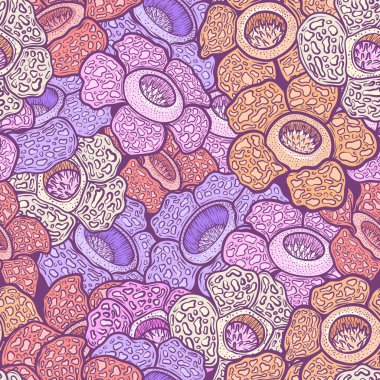Rafflesia Arnoldii Renkli Tropikal Çiçek Çizim Arkaplanı